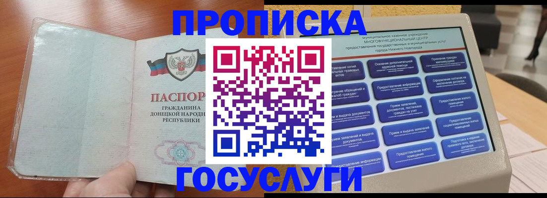 временная регистрация поиск в Коле